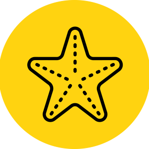 Starfish (Class of 2006-2010)